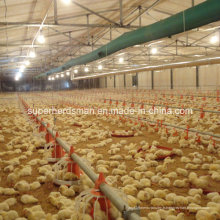 Équipements automatiques de hangar de contrôle de volaille pour des poulets